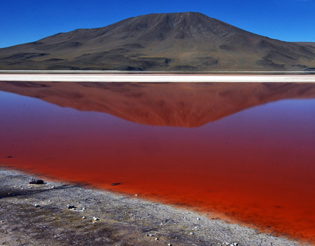 3 Bolivia. Lagunas 296