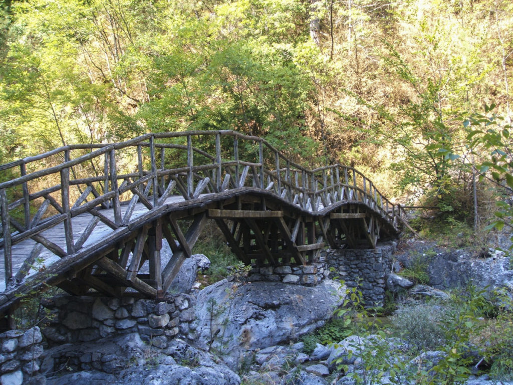 Puente garganta Enipeas