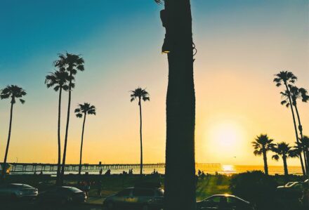 Viviendo el Sueño Californiano: Descubre la Costa Oeste, Sol, Playa y Surf