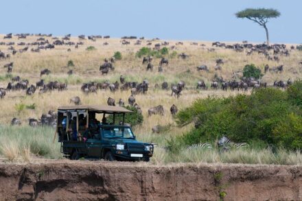 Aventura en la Tierra de los Grandes Safaris: Mi Experiencia en Kenia