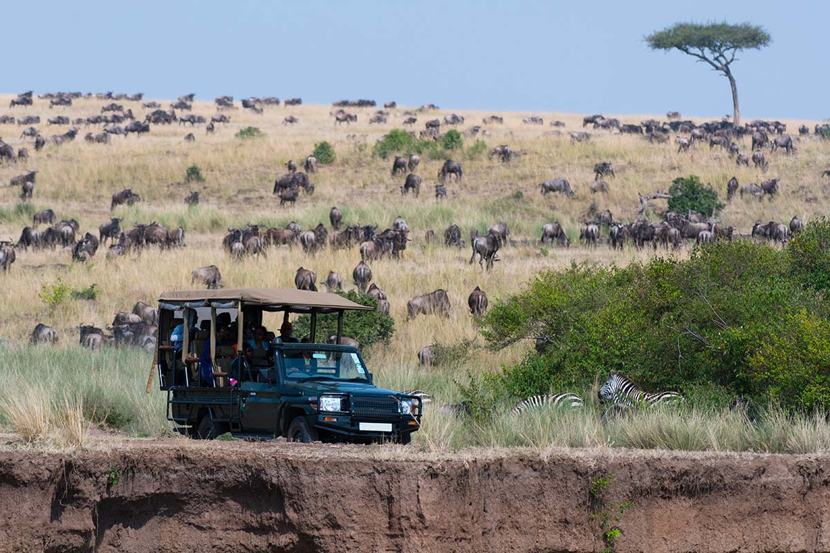 grandes safaris Kenia